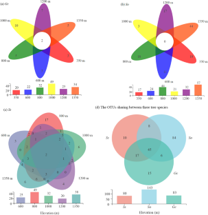 Co-occurring tree species drive arbuscular mycorrhizal fungi diversity in tropical forest.