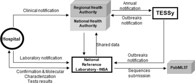 Epidemiology and genetic diversity of invasive Neisseria meningitidis strains circulating in Portugal from 2003 to 2020.