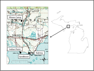 Envisioning Logging Camps as Sites of Social Antagonism in Capitalism: An Anishinaabe Example from the Upper Peninsula of Michigan