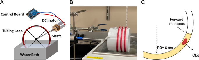 Effect of Chandler loop shear and tubing size on thrombus architecture