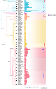 MicrosatNavigator: exploring nonrandom distribution and lineage-specificity of microsatellite repeat motifs on vertebrate sex chromosomes across 186 whole genomes.