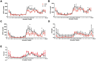 α-Synuclein-Induced Destabilized BMAL1 mRNA Leads to Circadian Rhythm Disruption in Parkinson's Disease.