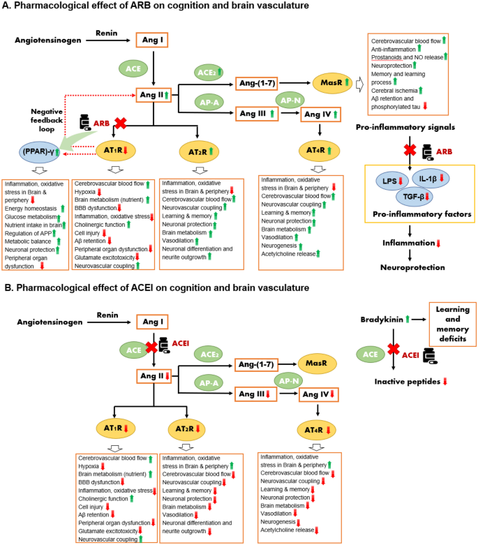 Angiotensin Receptor Blockers and Cognition: a Scoping Review.