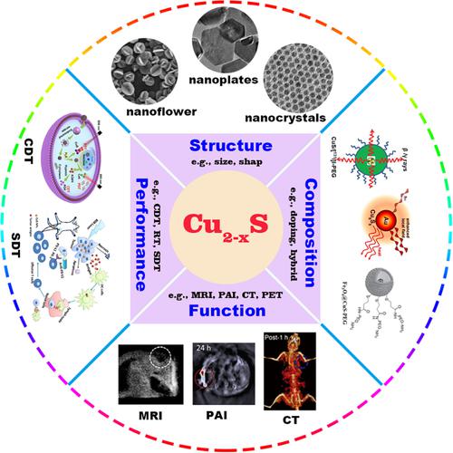 Engineering of copper sulfide mediated by phototherapy performance.