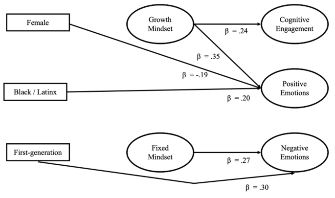Beyond growth mindset: Exploring John Henryism and academic task engagement in higher education