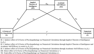 Implicit theories of intelligence and academic self-efficacy as mediators of the relationship between psychopathology and mathematical performance in adolescents