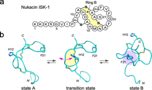 The time-zero HSQC method improves the linear free energy relationship of a polypeptide chain through the accurate measurement of residue-specific equilibrium constants