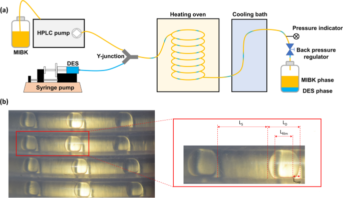 5-Hydroxymethylfurfural synthesis from fructose over deep eutectic solvents in batch reactors and continuous flow microreactors