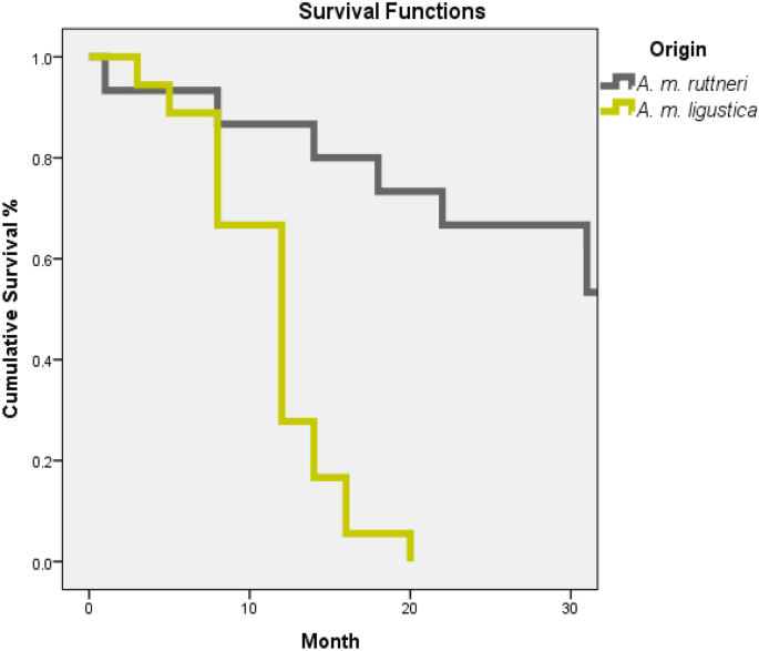 Development, behaviour, productivity, and health status of the native honey bee Apis mellifera ruttneri vs. the introduced A. m. ligustica in Malta