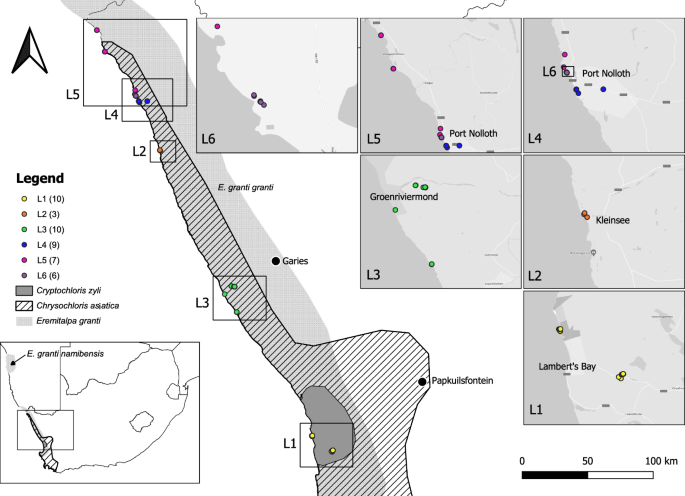 Environmental DNA from soil reveals the presence of a “lost” Afrotherian species