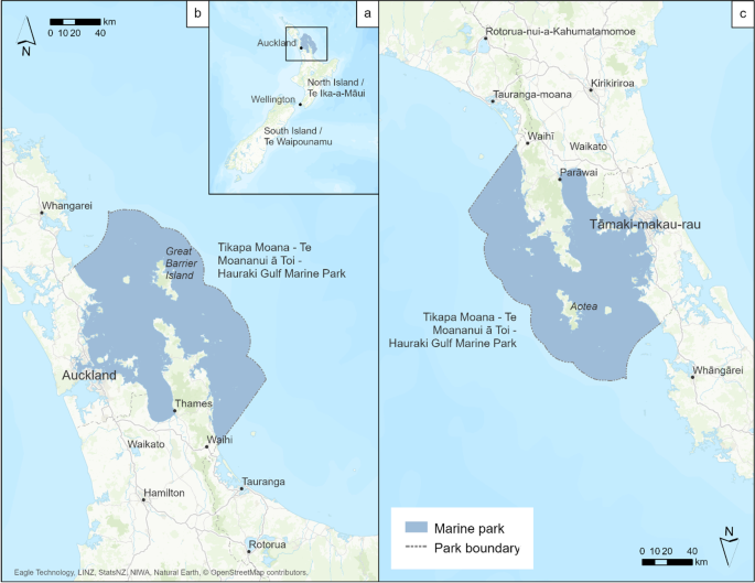 Urban environmental ethics and coastal transformations: remapping the Hauraki Gulf Tīkapa Moana, Auckland, Aotearoa New Zealand, in a process of marine spatial planning