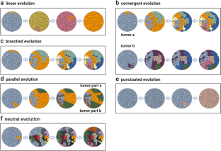 Unraveling the Drivers of Tumorigenesis in the Context of Evolution: Theoretical Models and Bioinformatics Tools.