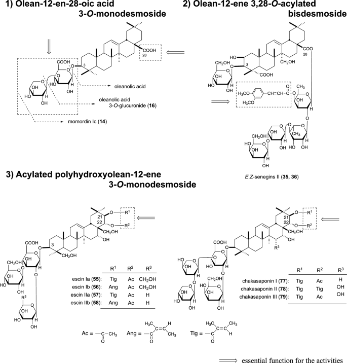 Publisher Correction: New biofunctional effects of oleanane-type triterpene saponins