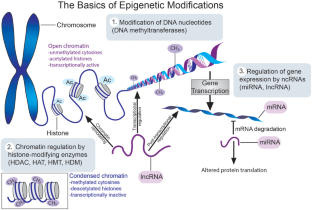 Epigenetic Dysregulation in Autoimmune and Inflammatory Skin Diseases.