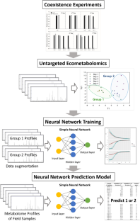 Applying a neural network machine learning model to predict seasonal allelopathic inhibitory effects of Myriophyllum spicatum on the growth of Microcystis aeruginosa