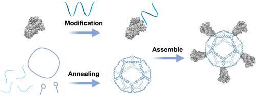 DNA nanostructures as biomolecular scaffolds for antigen display.