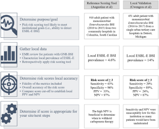 No Crystal Ball? Using Risk Factors and Scoring Systems to Predict Extended-Spectrum Beta-Lactamase Producing Enterobacterales (ESBL-E) and Carbapenem-Resistant Enterobacterales (CRE) Infections