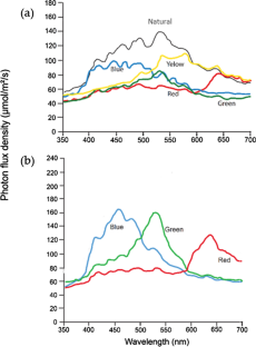 Synergetic effects of tank background and food colouration on feeding preferences of seahorse Hippocampus barbouri