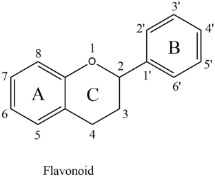 Impact of Plant-Derived Compounds on Amyotrophic Lateral Sclerosis.