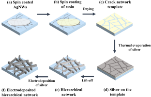 Electrodeposited Hierarchical Silver Network Transparent Conducting Electrodes with Excellent Optoelectronic Properties and Mechanical Flexibility