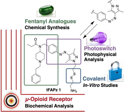 Development of Photoswitchable Tethered Ligands that Target the μ-Opioid Receptor