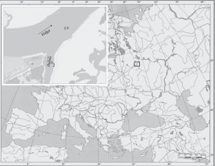 Distribution Pattern of Trematodes in a Large Colony of the Ponto-Azov Mollusk Lithoglyphus naticoides (C. Pfeiffer, 1828) (Gastropoda, Hydrobiidae) from the Upper Section of the Uglich Reservoir (Upper Volga Basin)