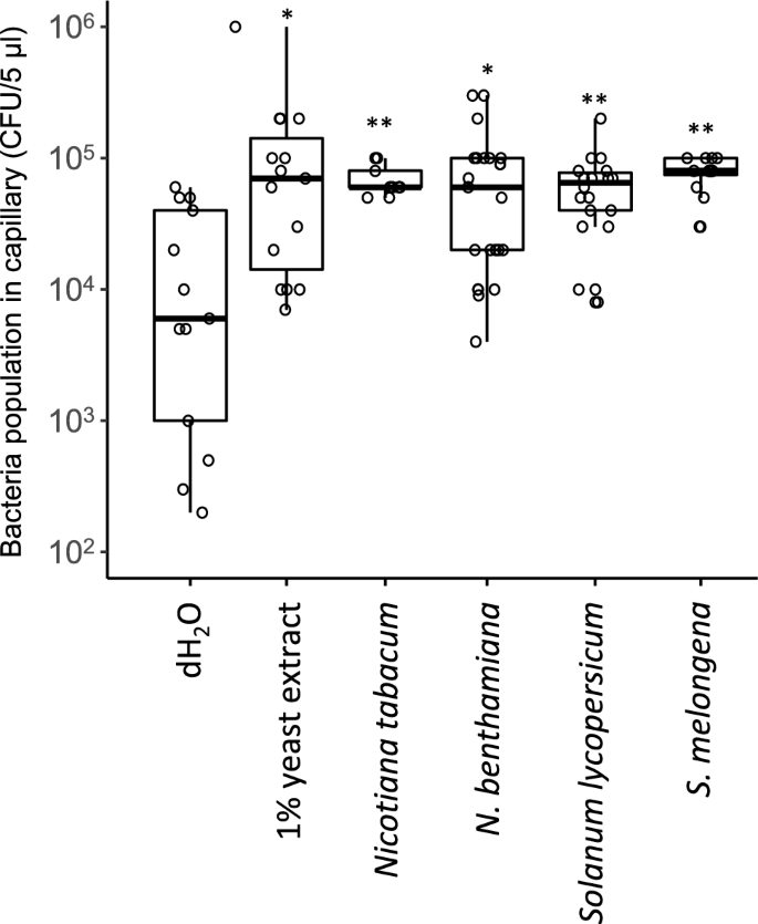 Positive chemotaxis to plant apoplastic fluids of Pseudomonas syringae pv. tabaci 6605 and metabolome analysis