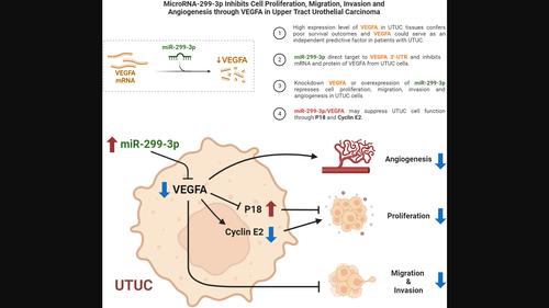 MicroRNA-299-3p inhibits cell proliferation, motility, invasion and angiogenesis via VEGFA in upper tract urothelial carcinoma