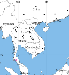 Molecular phylogeny of Vincetoxicum (Apocynaceae, Asclepiadoideae) from Thailand and integrative taxonomy corroborating a new cryptic species within Vincetoxicum kerrii.