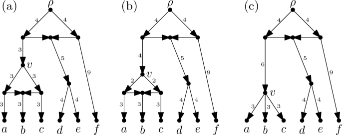 The Space of Equidistant Phylogenetic Cactuses