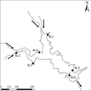 Application of a quantitative PCR method for monitoring of geosmin-producing Anabaena spp. in a Japanese reservoir