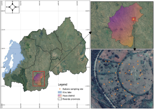 Soil-litter arthropod communities under pasture land use in southern Rwanda