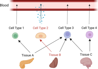 Plasma proteins as potential biomarkers of aging of single tissue and cell type.