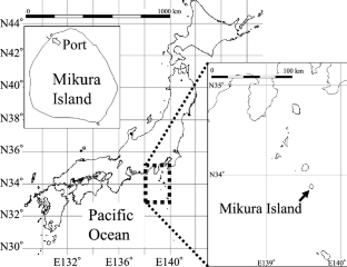 Group definition for underwater observation of wild Indo-Pacific bottlenose dolphins