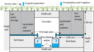 Dairy Manure Application Effects on Water Percolation, Nutrient Leaching and Rice Yield Under Alternate Wetting and Drying Irrigation