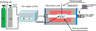 Comparison Between Microwave Heating and Conventional Heating of Magnetite During Hydrogen Reduction