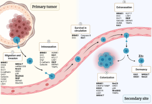 Metastasis suppressor genes and their role in the tumor microenvironment.