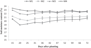 Improvement of Physiological Indices and Sweet Corn Performance by Sowing Methods and Wheat Residue Mulching Under Two Irrigation Regimes