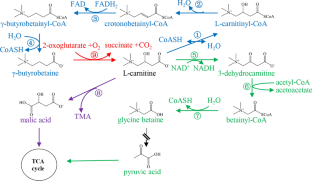 Role of carnitine in adaptation of Chromohalobacter salexigens DSM 3043 and its mutants to osmotic and temperature stress in defined medium.