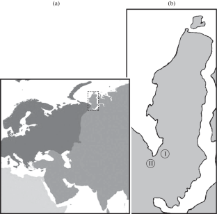 Changing the Reserves of Green and Lichen Forage Stocks in the Southern Tundra Communities of Yamal from the 1930s to 2017–2019