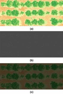 Case study: things to be considered for high-throughput phenotyping in genomic studies