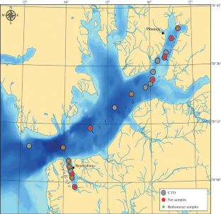 The Structure of the Zooplankton Community in Spitsbergen Waters during the Winter Period