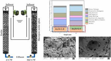 Effect of macroporous zeolite substrate on denitrification in tidal flow constructed wetland