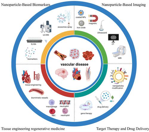 Nanotechnology translation in vascular diseases: From design to the bench.