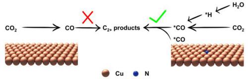 Nitrogen-doping boosts *CO utilization and H2O activation on copper for improving CO2 reduction to C2+ products