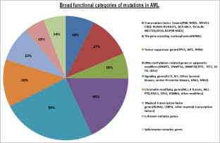 Precision Medicine in Myeloid Malignancies: Hype or Hope?