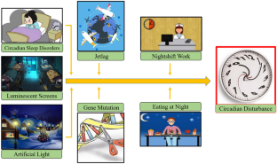 A review for the impacts of circadian disturbance on urological cancers