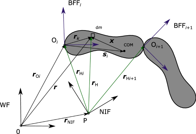 Robust inverse dynamics by evaluating Newton–Euler equations with respect to a moving reference and measuring angular acceleration