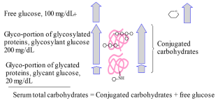 Serum total carbohydrates, conjugated carbohydrates and total protein glycation index in diabetes mellitus.