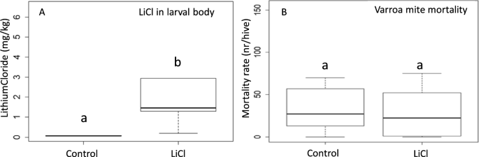 Deleterious effect of LiCl on honeybee (Aphis mellifera) grubs and no effect on Varroa mites (Varroa destructor) under normal beekeeping management.